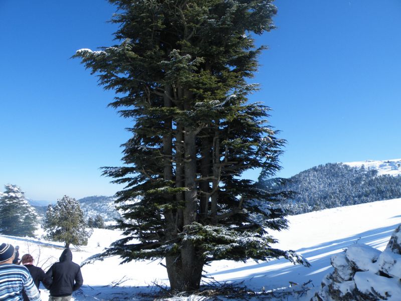 DSCF2184.jpg