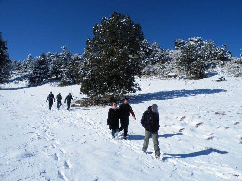 DSCF2187.jpg