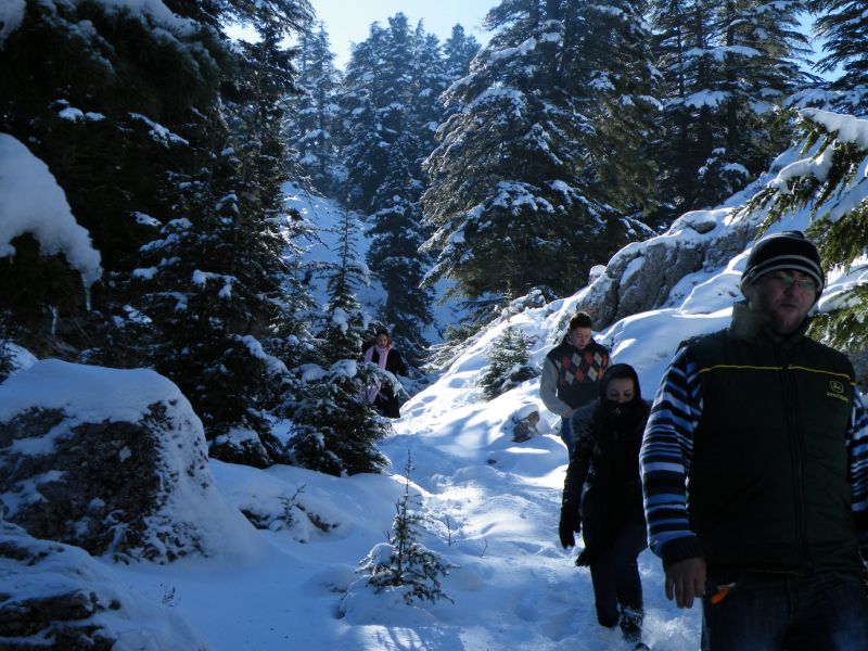DSCF2203.jpg