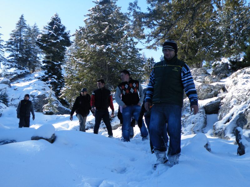 DSCF2204.jpg