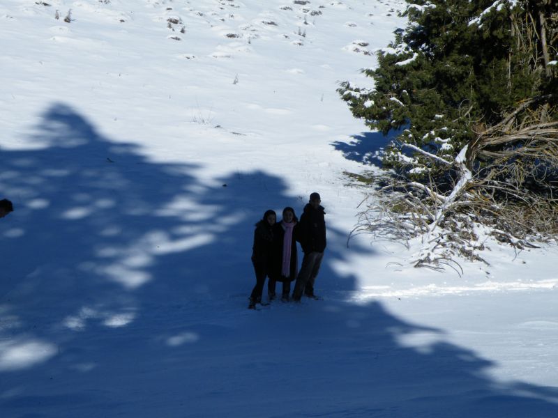 DSCF2205.jpg