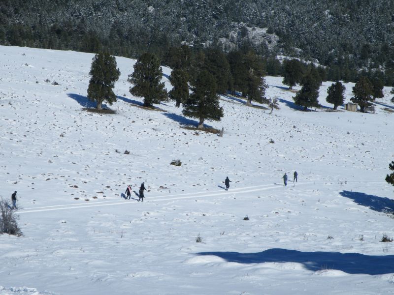 DSCF2210.jpg