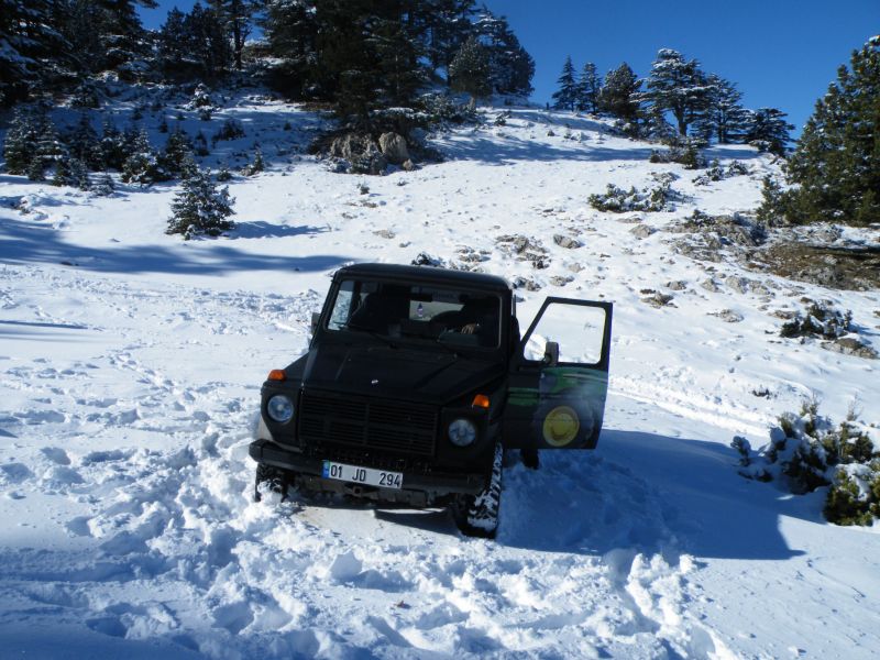 DSCF2213.jpg