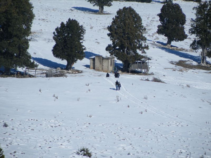DSCF2214.jpg