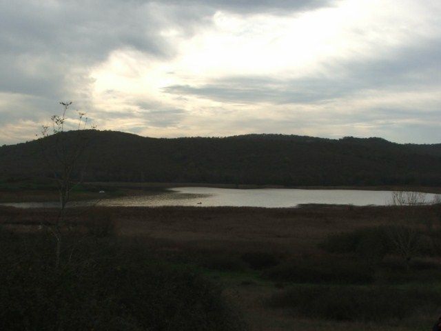 DSCF2217.jpg