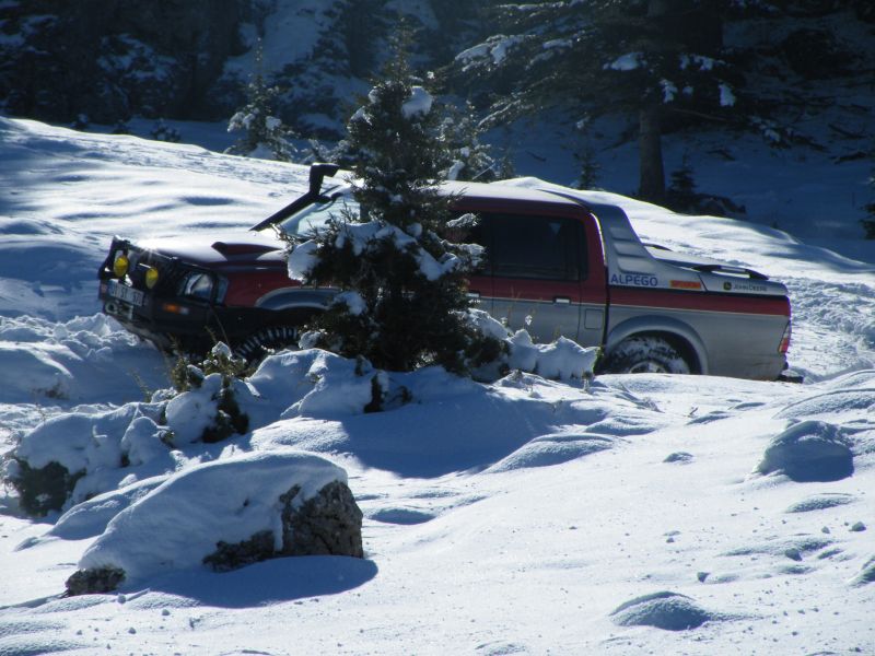 DSCF2227.jpg