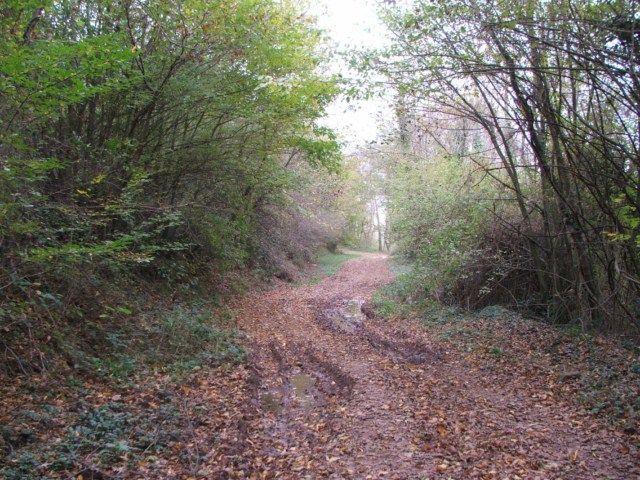DSCF2236.jpg