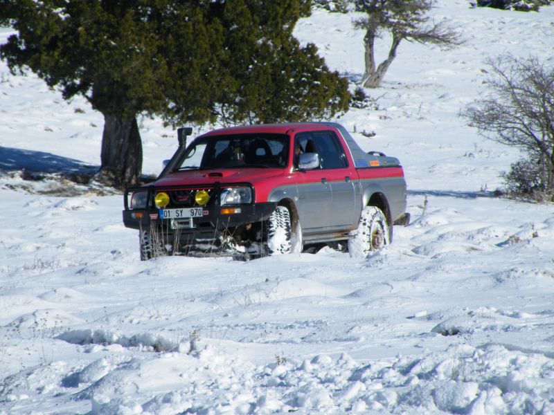 DSCF2241.jpg