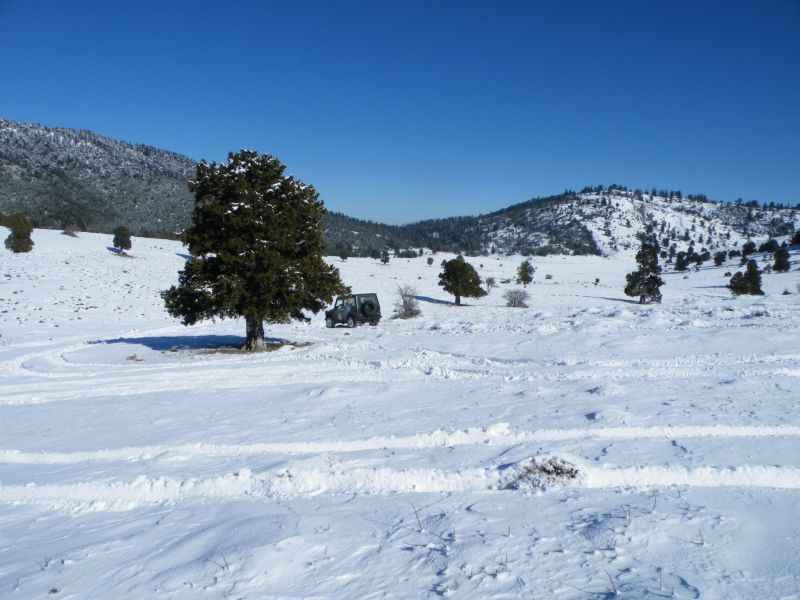 DSCF2244.jpg