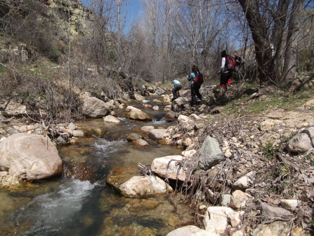 DSCF2266.JPG