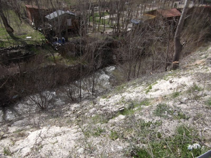 DSCF2318.JPG