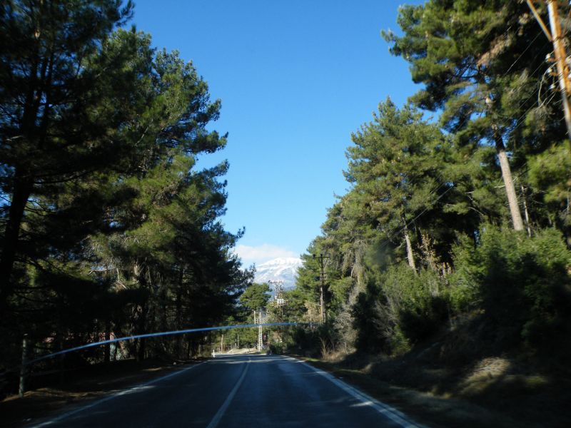DSCF2323.jpg