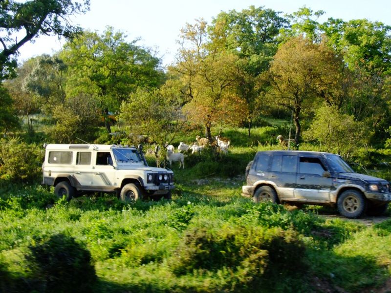 DSCF2334.jpg