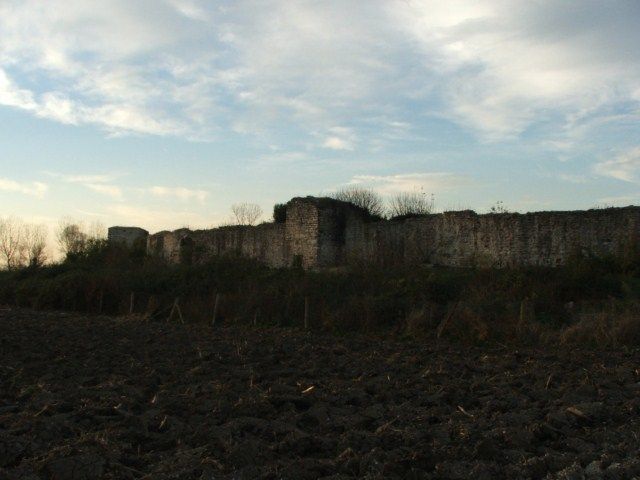 DSCF2340.jpg
