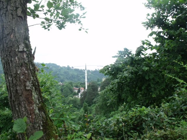 DSCF2359.JPG