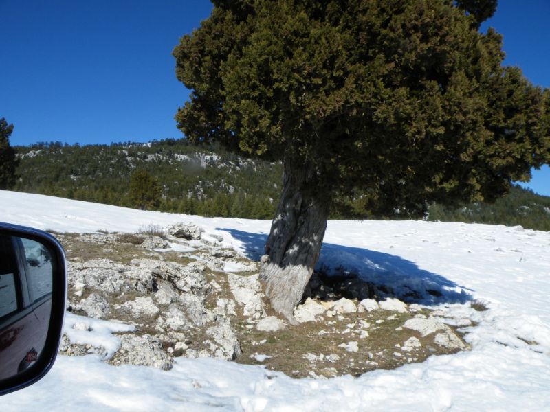DSCF2405.jpg
