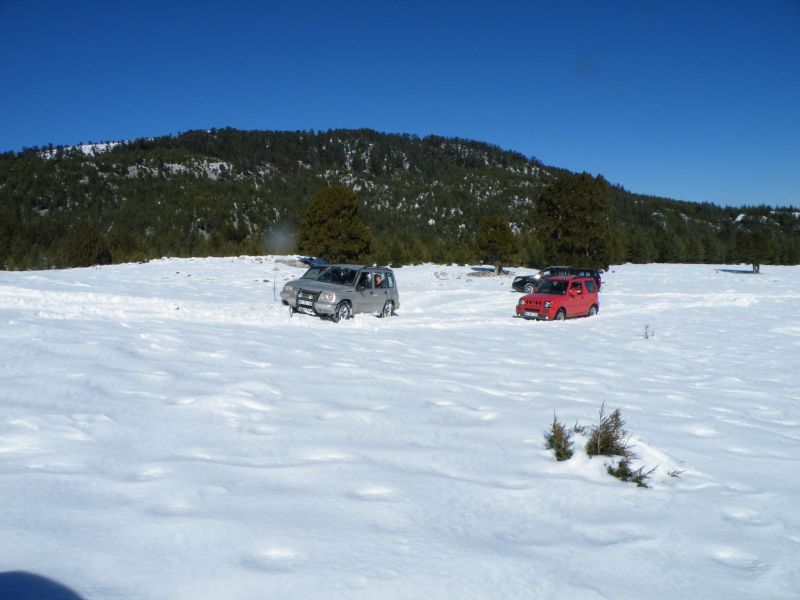 DSCF2410.jpg