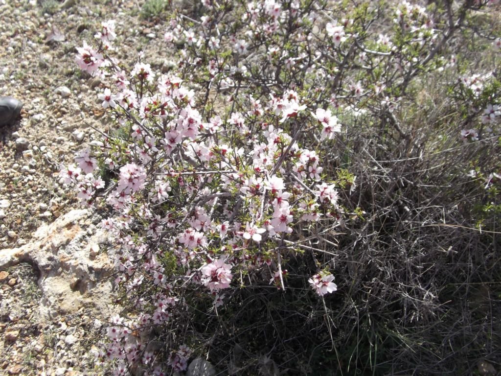 DSCF2428.JPG