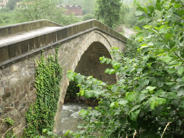 DSCF2494.JPG