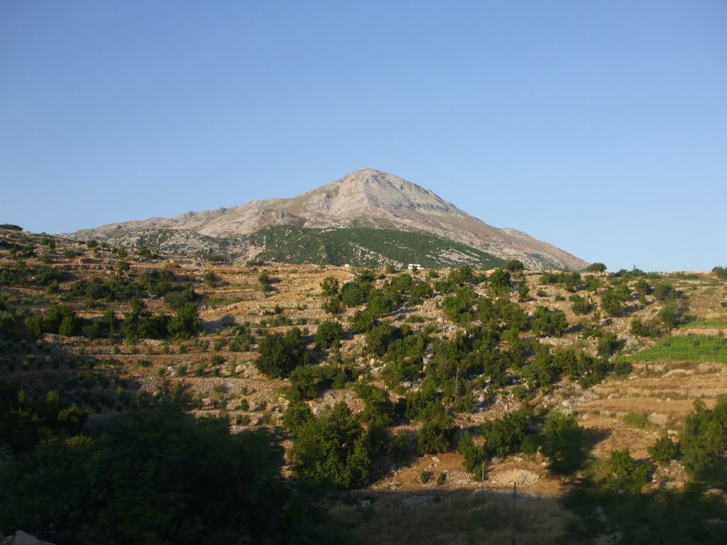 DSCF2609.jpg