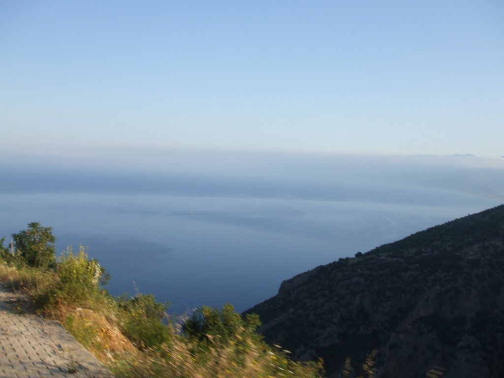 DSCF2615.jpg