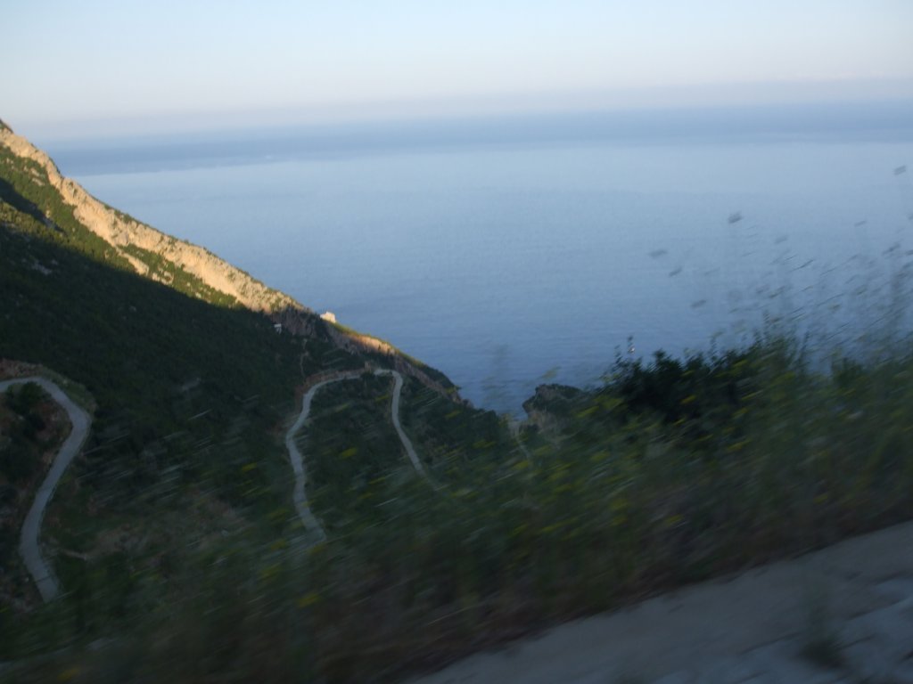 DSCF2630.jpg