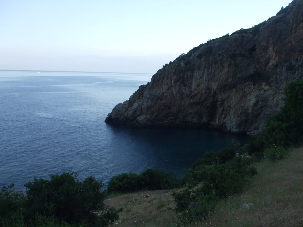 DSCF2645.jpg