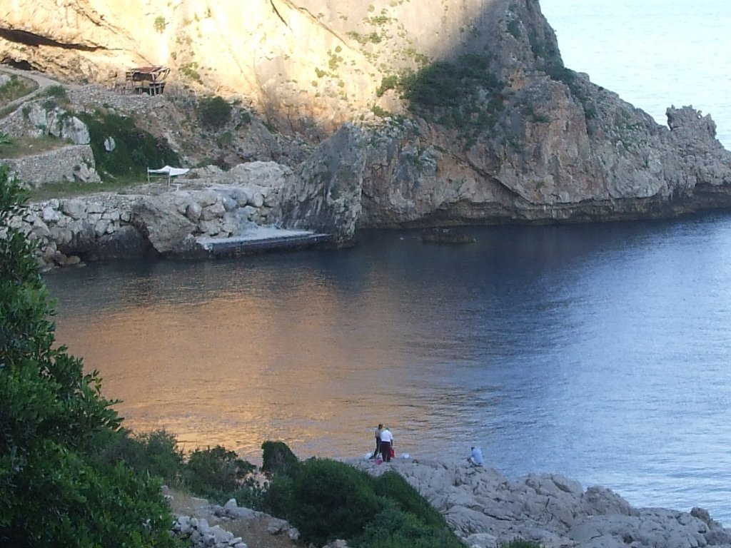 DSCF2665.jpg