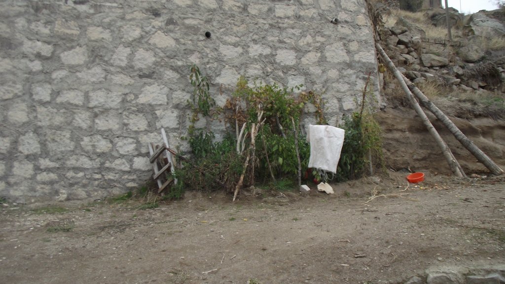 DSCF2810.JPG