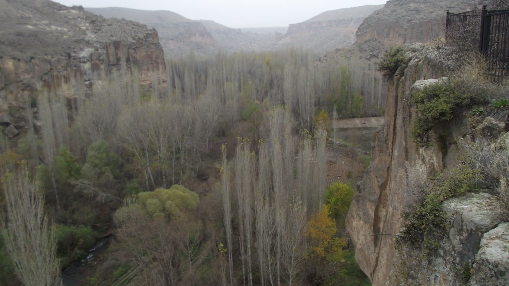 DSCF2812.JPG