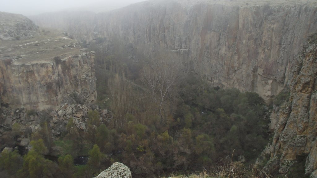 DSCF2859.JPG