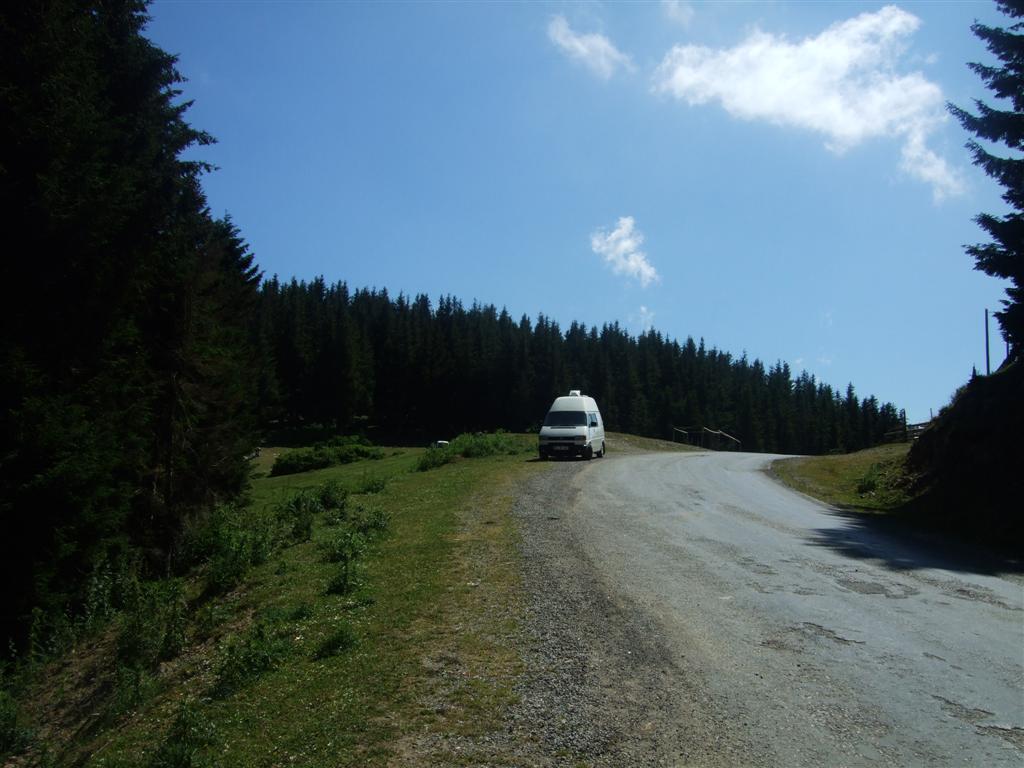 DSCF3070 (Large).JPG