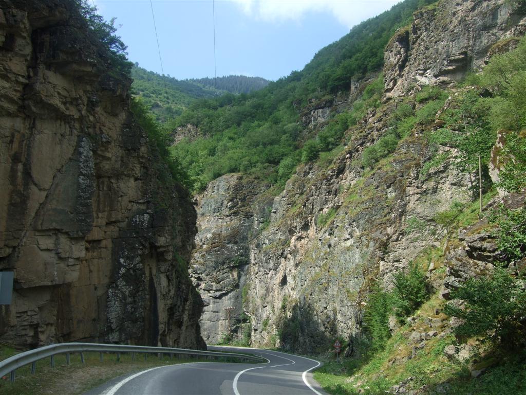 DSCF3090 (Large).JPG