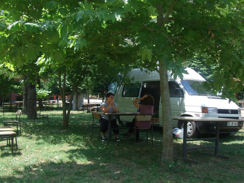 DSCF3096 (Large).JPG