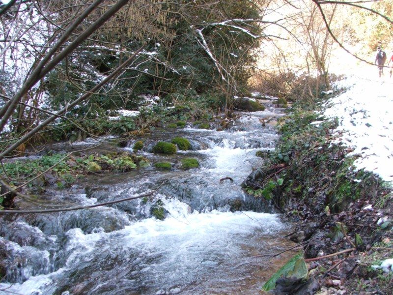 DSCF3109.jpg