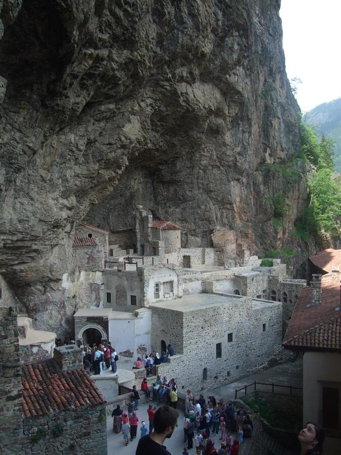 DSCF3117 (Large).JPG