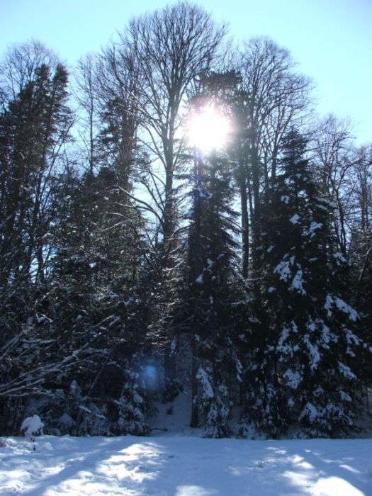 DSCF3146.jpg
