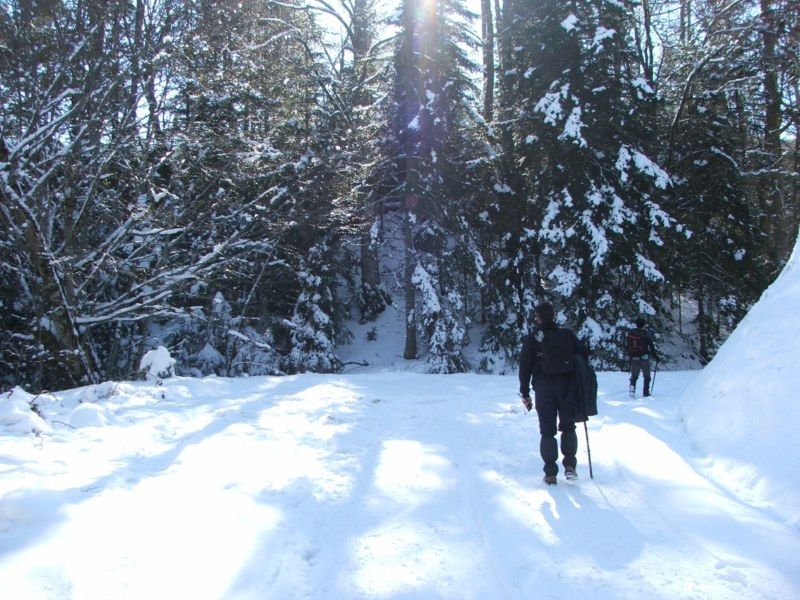 DSCF3149.jpg