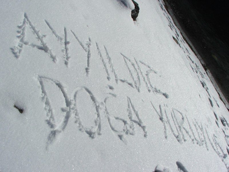 DSCF3171.jpg