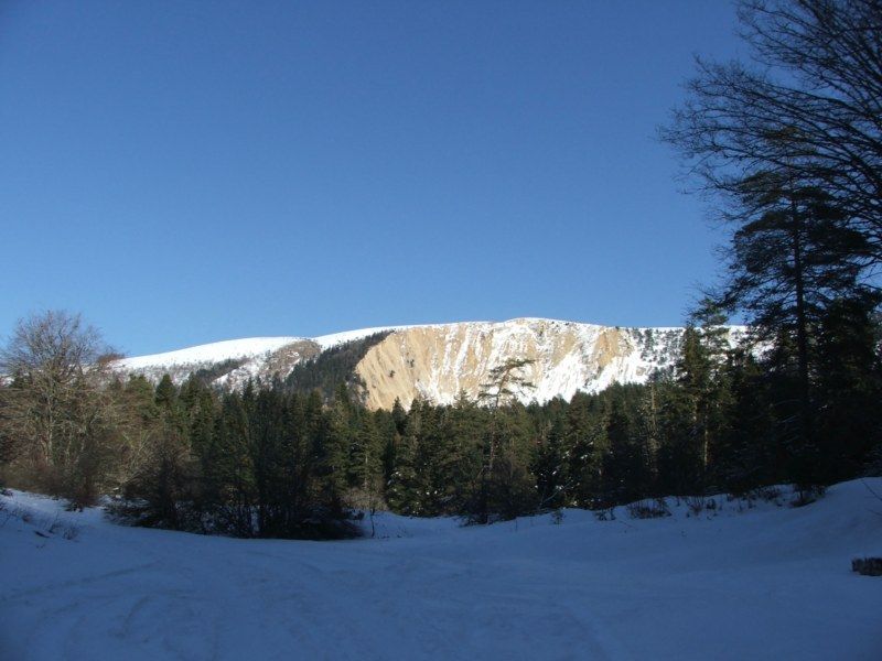 DSCF3188.jpg