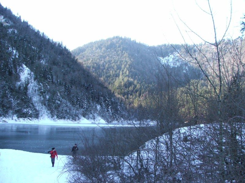 DSCF3190.jpg