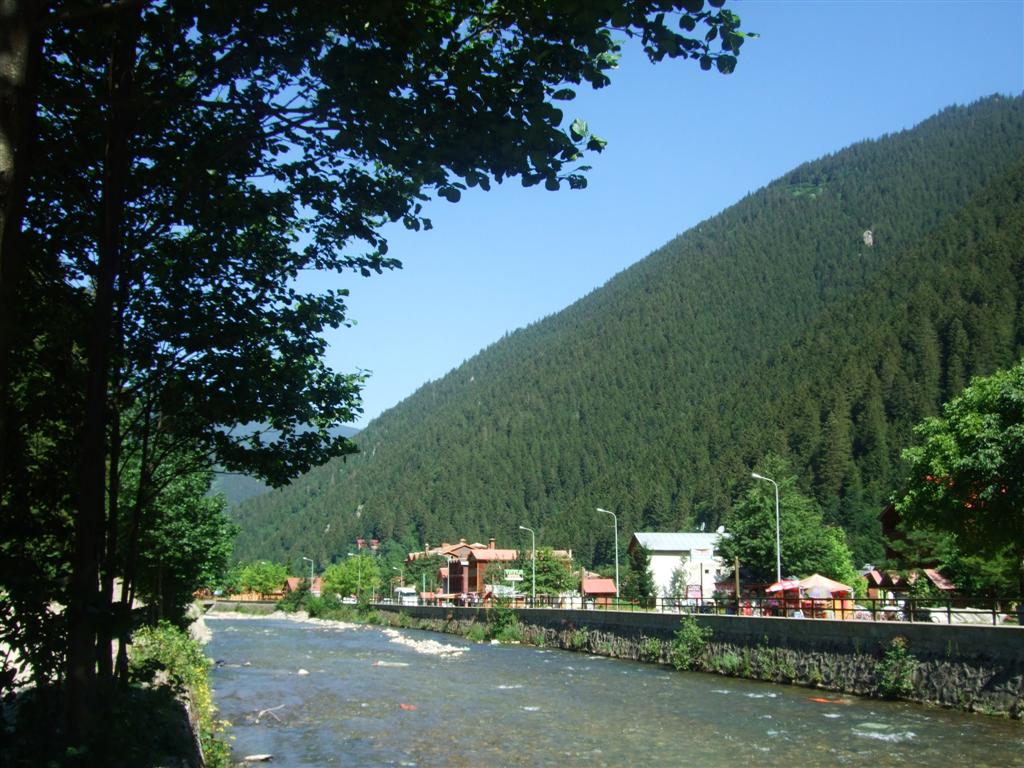 DSCF3204 (Large).JPG