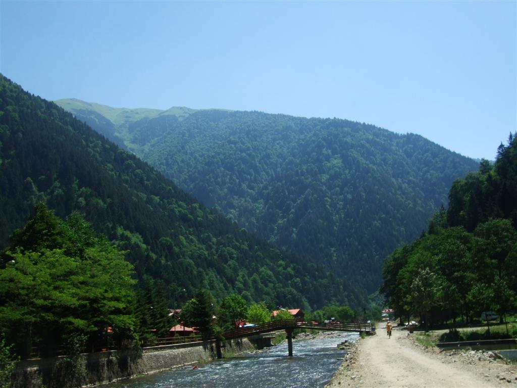 DSCF3210 (Large).JPG