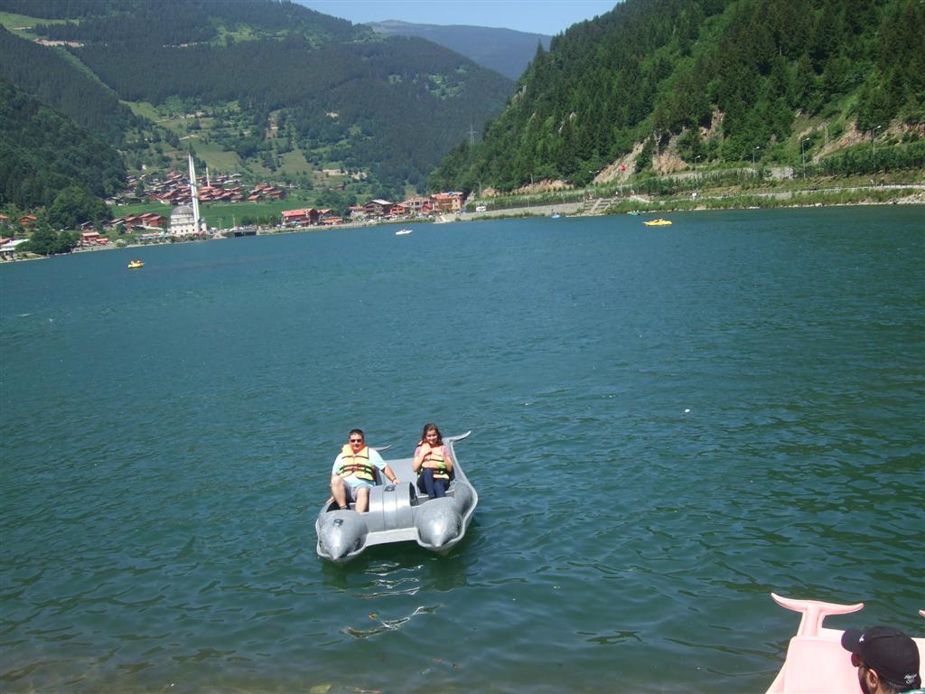 DSCF3227 (Large).JPG