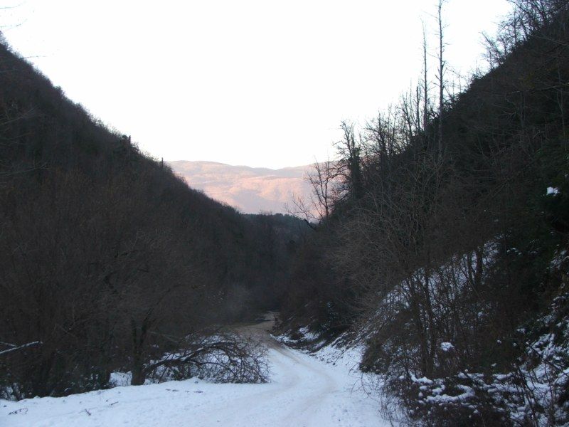 DSCF3248.jpg