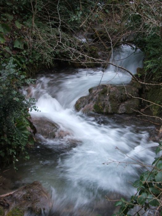 DSCF3256.jpg