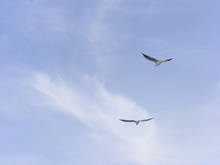 DSCF3394.JPG
