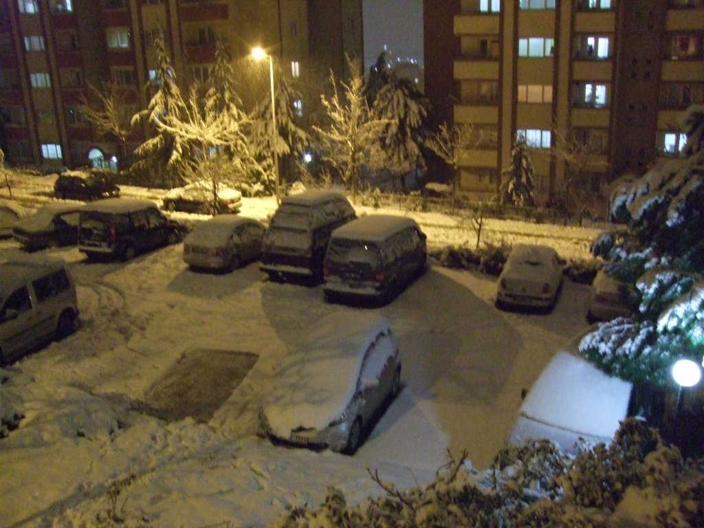 DSCF3395.JPG