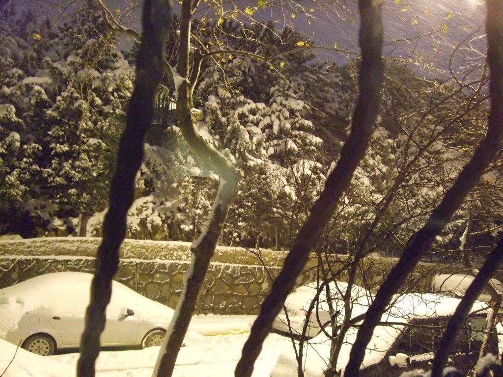 DSCF3404.JPG