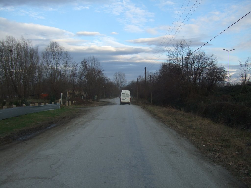 DSCF3485.JPG